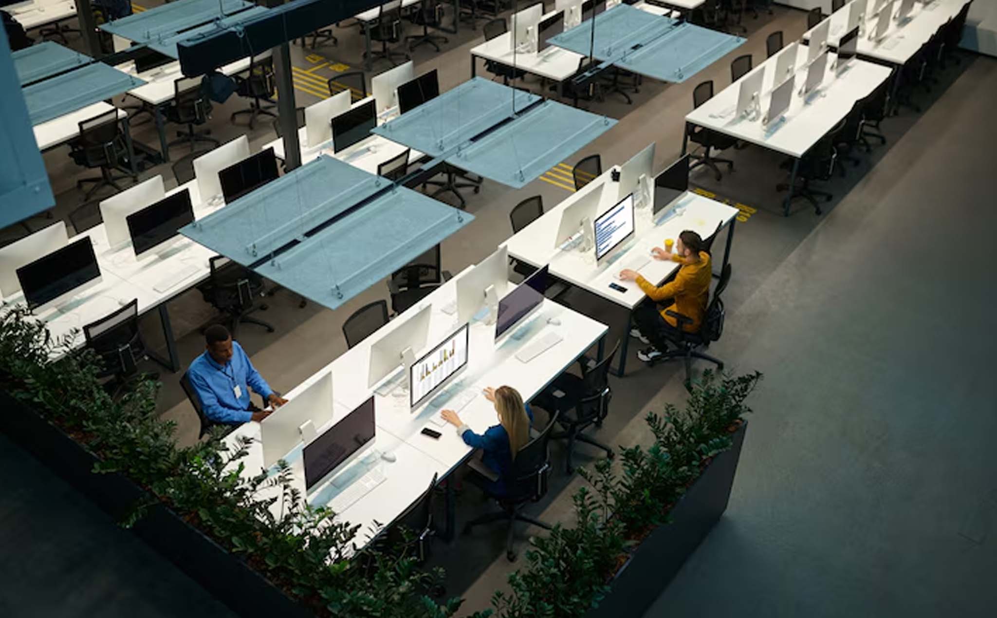 Office Interior Designing Services In Chandigarh